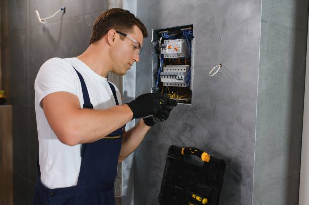 Best Generator Installation Services  in Nashvle, IL